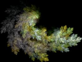 IFS-fractal color00142.png