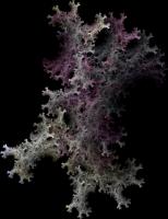 IFS-fractal color00188.png