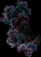 IFS-fractal color00198.png