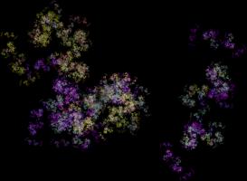 IFS-fractal color00994.png